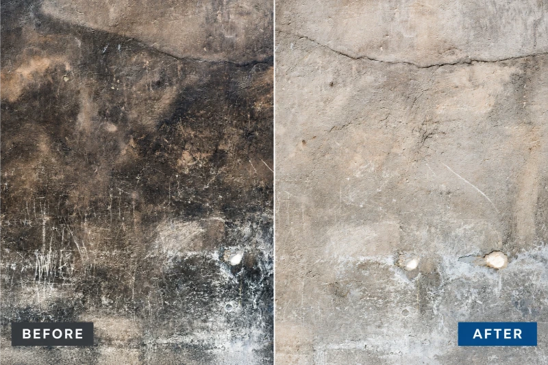 Before and after exterior pressure washing in the Jacksonville area